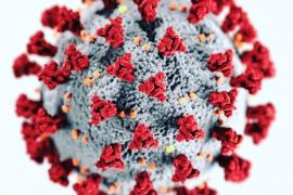 El casos de Covid a Sóller es mantenen mentre que el conjunt Balear entra en alt risc de contagis