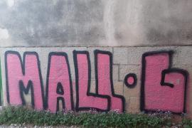 Veïnats del camí de can Bessó denuncien pintades a la façana d'una casa