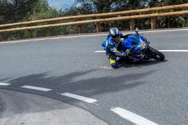 "Chicharras supersónicas" en la Tramuntana, la joya natural de Mallorca