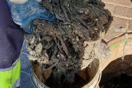 Restes de tovalloletes i altres residus extrets pels operaris.