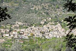 fornalutx oliva oli olivera