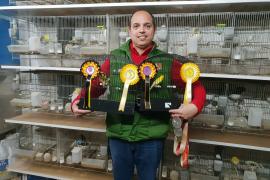 Miquel Socias amb els premis i els exemplars que li donaren el títol de campió del món de canaricultura .