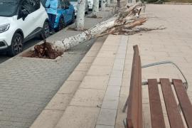 Les fortes ratxes de vent provoquen diversos incidents al Port