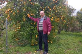 «La primera Fira de la Taronja fou un èxit»