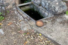 El vessament de fecals no ha contaminat la font de sa Vinyassa