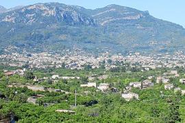 L’Ajuntament calcula que un 60% de la població resideix actualment a la zona d’Horts i Tarongers.