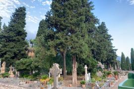 El cementiri és un bé catalogat des de 1998. F: M. B. R.