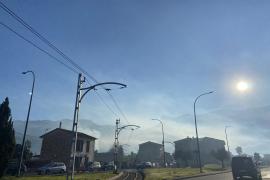 SOLLER. MEDIO AMBIENTE. La mala qualitat de lÂ¿aire obliga lÂ¿Ajuntament a regular la crema de podes.
