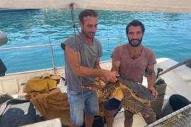 Pescadors rescaten una tortuga marina enganxada a unes xarxes