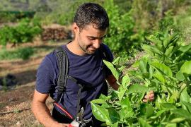 Joan Deià és pagès i ingenyer agrícola a càrrec de la tafona familiar.