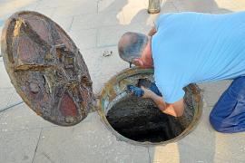 Agricultura conclou que la salinitat acumulada a la xarxa d’aigua del Port no és marina