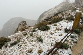 Imatge captada avui matí al Puig Major per Albert J. Darder.