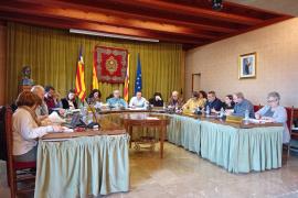 Imatge del ple celebrat avui al matí.