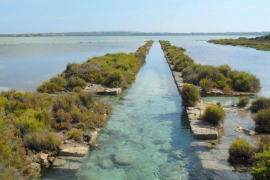 Denunciada una embarcació per navegar per damunt la posidònia del Parc Natural de Ses Salines d'Eivissa i Formentera