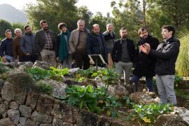El Jardí Botànic de Sóller ha rebut 7.604,07 euros destinats a projectes d’educació ambiental