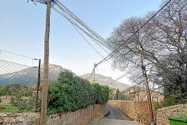 A l’alçada del Torrentó el cablejat elèctric es creua entre l’arbrat.