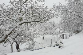 La neu deixa estampes hivernals com aquesta. Foto: Joan Sánchez.