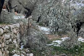 Mallorca mobilitza 6,5 milions per als municipis i persones afectades per Juliette