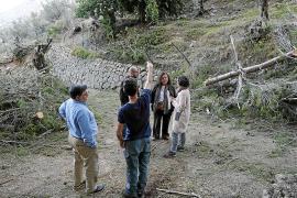 Mae de la Concha i Fernando Fernández amb els tècncis de la cooperativa a un olivar de Fornalutx.