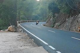 Les pujades per la carretera Ma-10 són habituals.