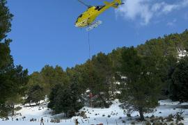 Un helicòpter va apropar a la finca Bini Gran sacs amb menjar pels animals, que feia dies que no menjaven per la neu.