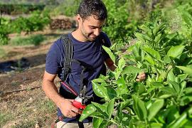 Imatge de Joan Det, pregoner de la Fira de la Taronja.