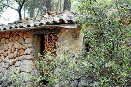 Els particulars podran recuperar els porxos tradicionals dels olivars.