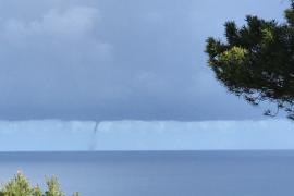 Imatge d'un dels caps de fibló vists avui al matí des del Port de Sóller.