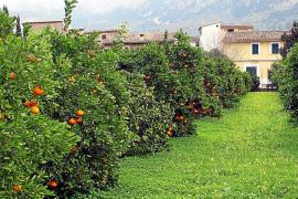 L’entitat agrícola utilitzarà altres marques.