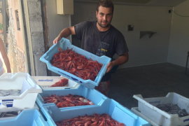 Alegria  i prudència davant la sobtada reaparició de la gamba