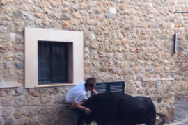 Protesta contra un accidentat correbou que podria ser el darrer
