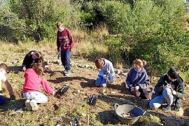SOLLER. ARQUEOLOGIA. MÃ©s de setanta anys dâarqueologia al Puig dâen Canals. Al voltant dâun miler dâalumnes han visitat el major jaciment prehistÃ²ric de SÃ³ller on es du a terme un projecte educatiu.