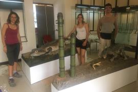 Animals de fa 275 milions d’anys al Museu de Ciències