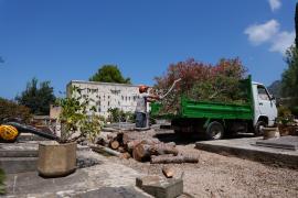 Un arbre cau sobre algunes tombes del cementiri municipal