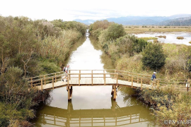 Aprovada l'ampliació de s'Albufera en unes 390 hectàrees