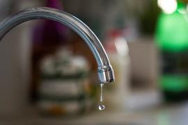 L'Ajuntament d'Esporles decreta «completament prohibit l'ús d'aigua potable» per regar jardins, horts, zones verdes i esportives