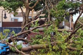 Pluja, vent i tempestes provoquen incidències i el Servei d'Emergències demanen prudència a la ciutadania