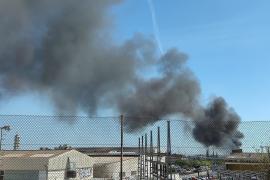 Els Bombers de Palma han sufocat l'incendi de Son Castelló que ha cremat 13 camions frigorífics i tres furgonetes
