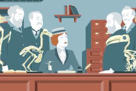 [VÍDEO] 'Dorothea on the rocks' s'estrena dimarts a CineCiutat