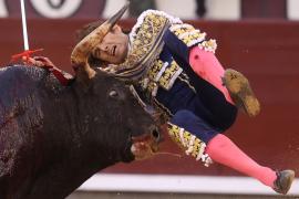 L'Ajuntament aprova, amb els vots de PP i VOX, que Palma deixi de ser 'ciutat antitaurina' i insta el Govern a permetre l'entrada de menors d'edat als toros