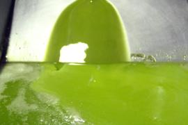 Oli de Sóller Cooperativa Sant Bartomeu sa tafona