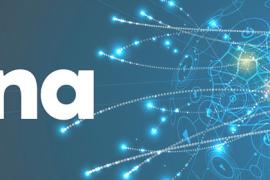 El Parlament col·laborarà amb el projecte AINA i insta els consells insulars a fer-ho també