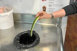 SOLLER - SÃ³ller 2010 recull un total de 1,8 tones de matÃ¨ria orgÃ nica cada dia