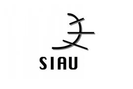 SIAU: «Amb ampliació de les places de les plantilles orgàniques, cap funcionari hauria de partir a treballar a una altra illa»