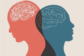 El Col·legi de Psicologia de les Balears fa una crida per convertir els centres educatius en espais protectors de la salut mental