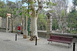 SOLLER - El Consell rebutja protegir els jardins de Can Canals.