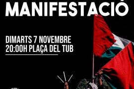 Continuen les manifestacions a favor del poble palestí a Palma