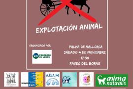 Convoquen una manifestació contra PP i VOX pel seu rebuig a la implantació de les galeres elèctriques