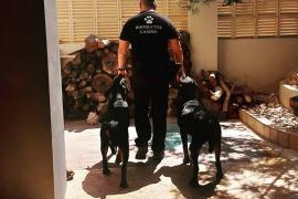 L'home que imparteix classes per la FELIB fa tres anys que ja no és guàrdia civil