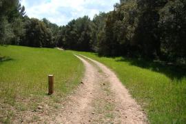 Col·lectius menorquins traslladen al president del Consell la «intranquil·litat» que genera l'anunci de modificació de la Llei del Camí de Cavalls